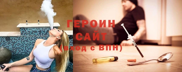 гашик Алексин