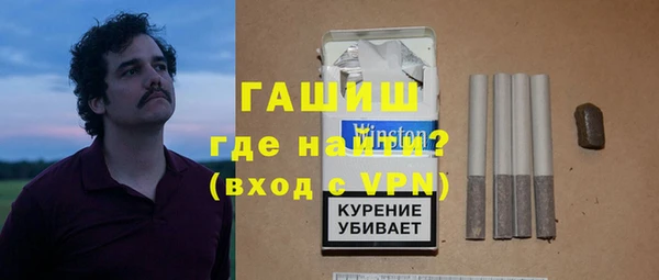гашик Алексин