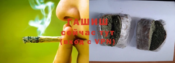 гашик Алексин
