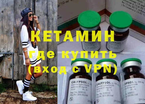 гашик Алексин