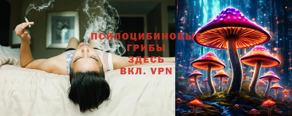 синтетический гашиш Саяногорск