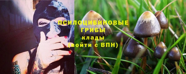 гашик Алексин
