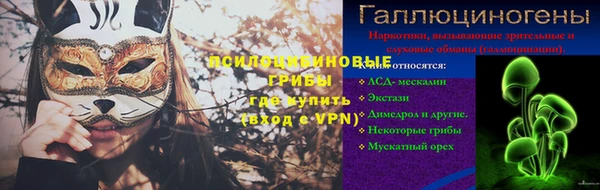 гашик Алексин